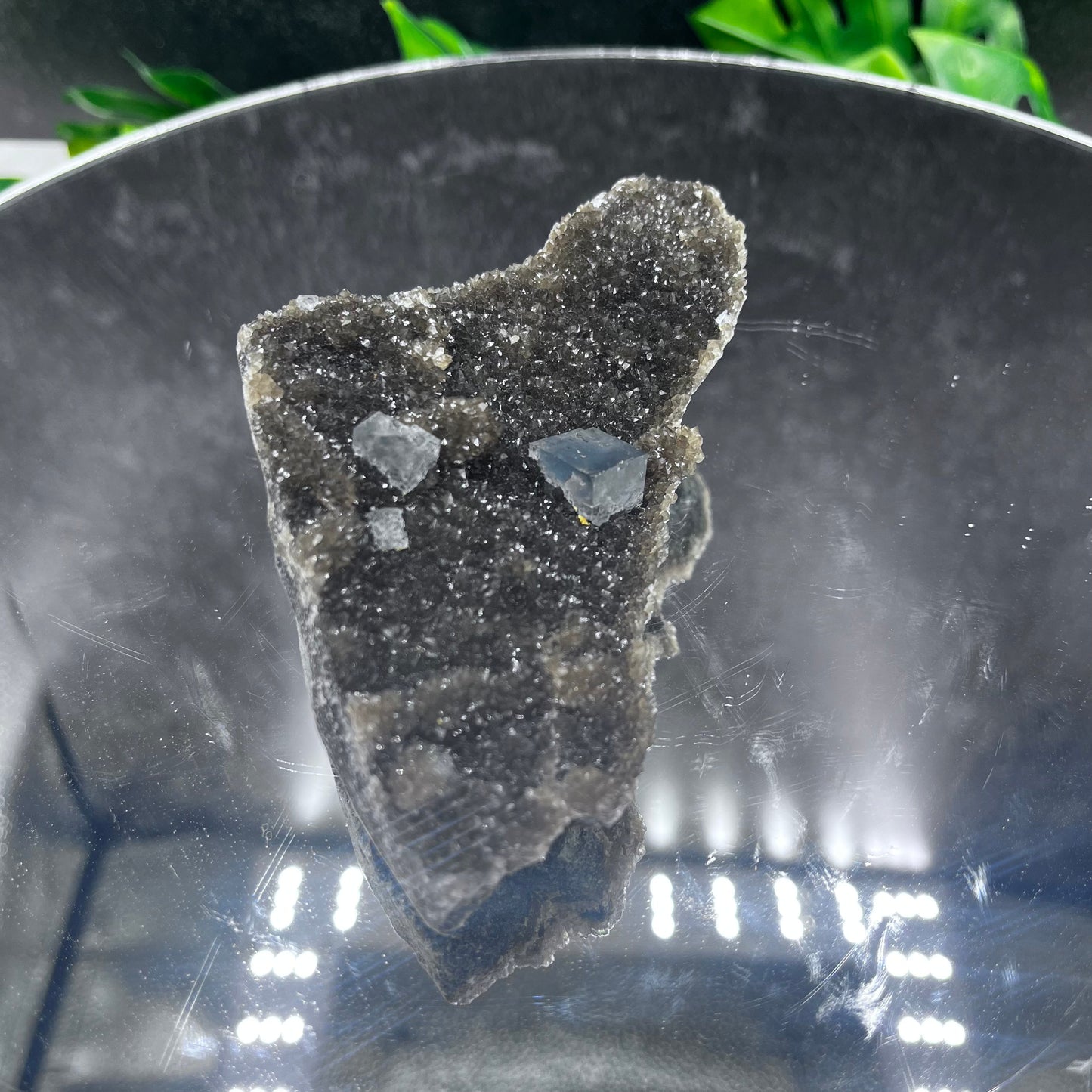 Yaogangxian Cubic Blue Fluorite on Black Druzy