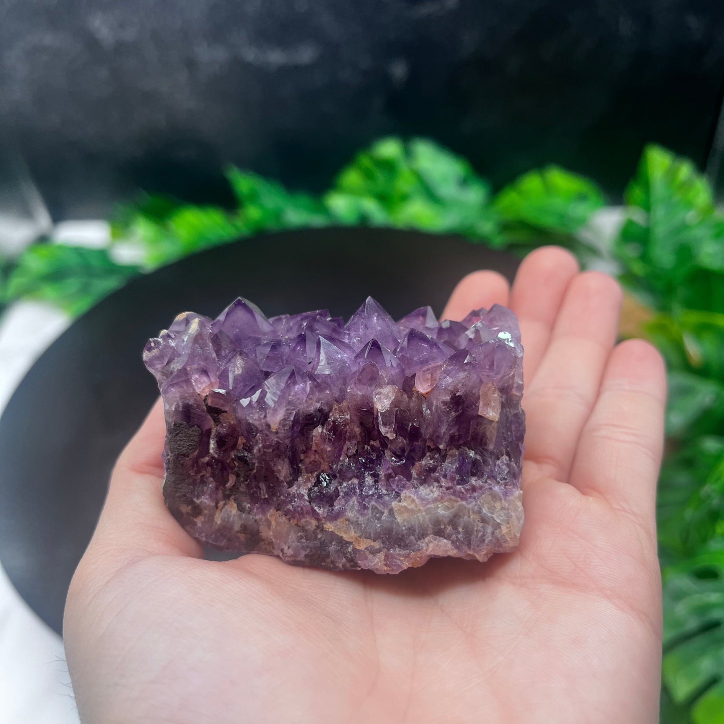 Amethyst Cluster