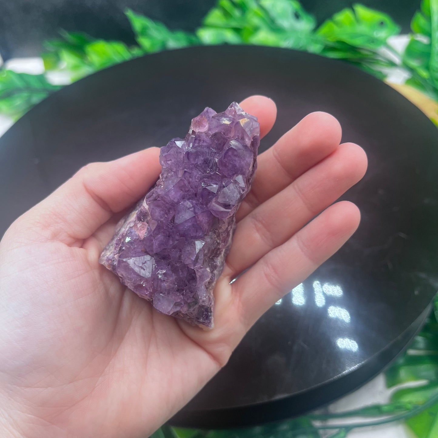 Amethyst Cluster