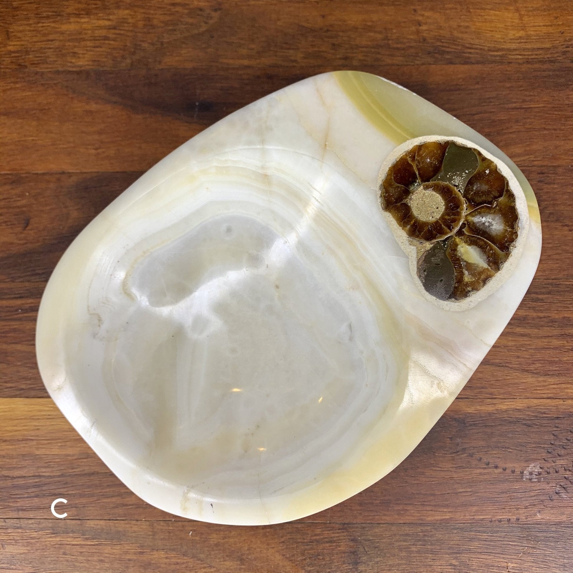 White Onyx with Ammonite Trinket Bowl - Crystal Gemstone Carving Home Decor - Sage & Magic