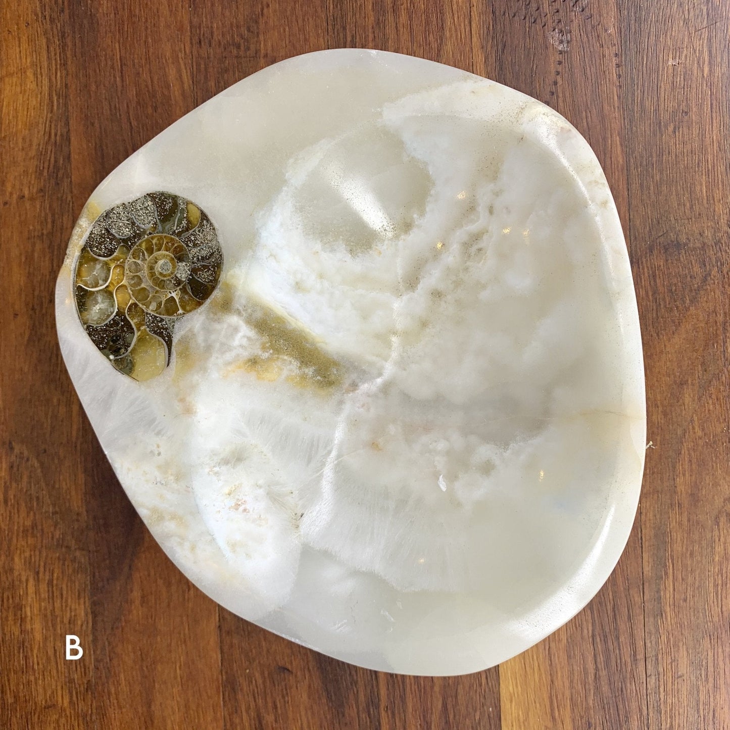 White Onyx with Ammonite Trinket Bowl - Crystal Gemstone Carving Home Decor - Sage & Magic